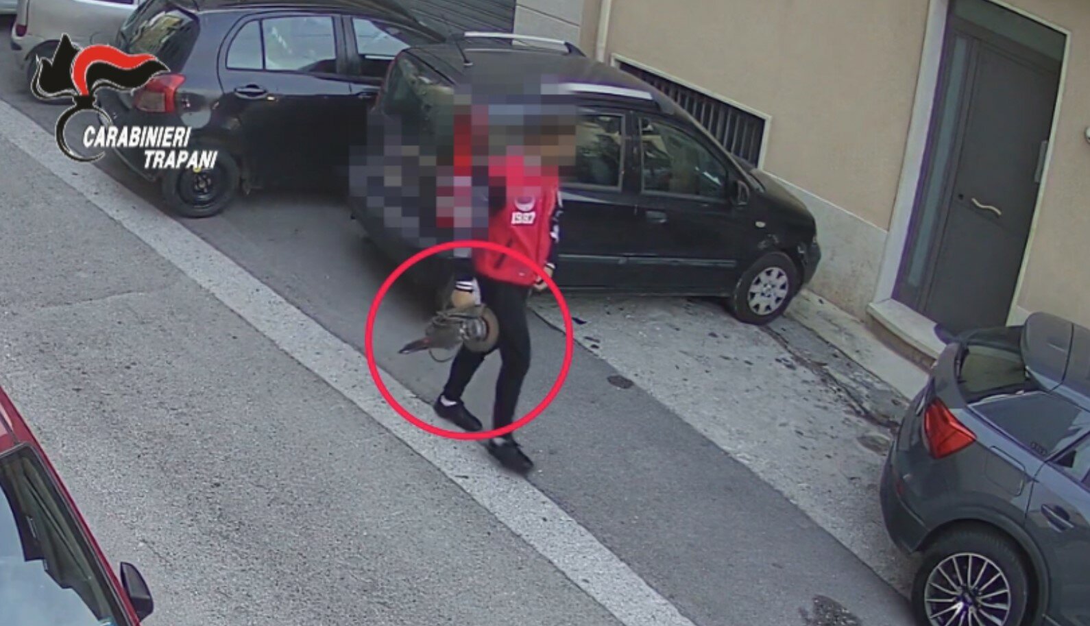 Topo d'appartamento incastrato dalle telecamere Topo d'appartamento incastrato dalle telecamere