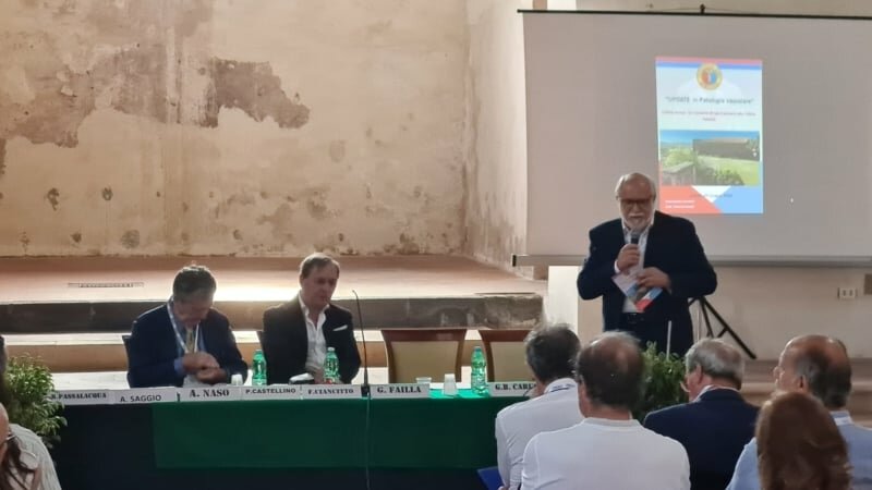 Patologie vascolari: sedentariet&agrave; e scorretta alimentazione fattori di rischio