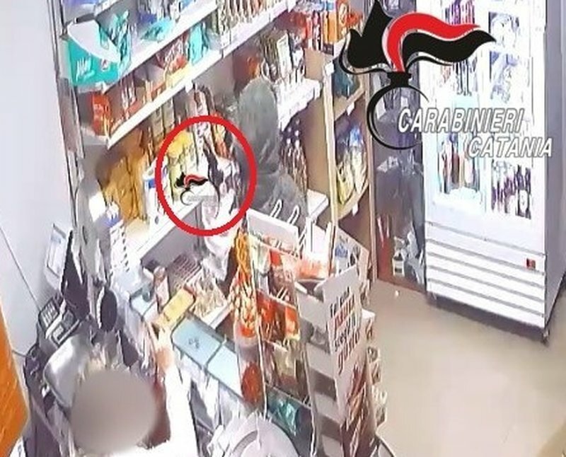 Assalto armato nel negozio: poi ci ripensa