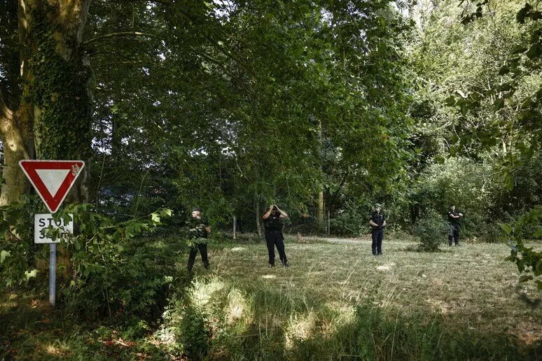 Sgozzato e sventrato: macabra scoperta nel parco