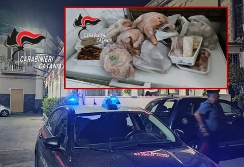 Sushi e blatte: chiuso il locale 'incrostato'