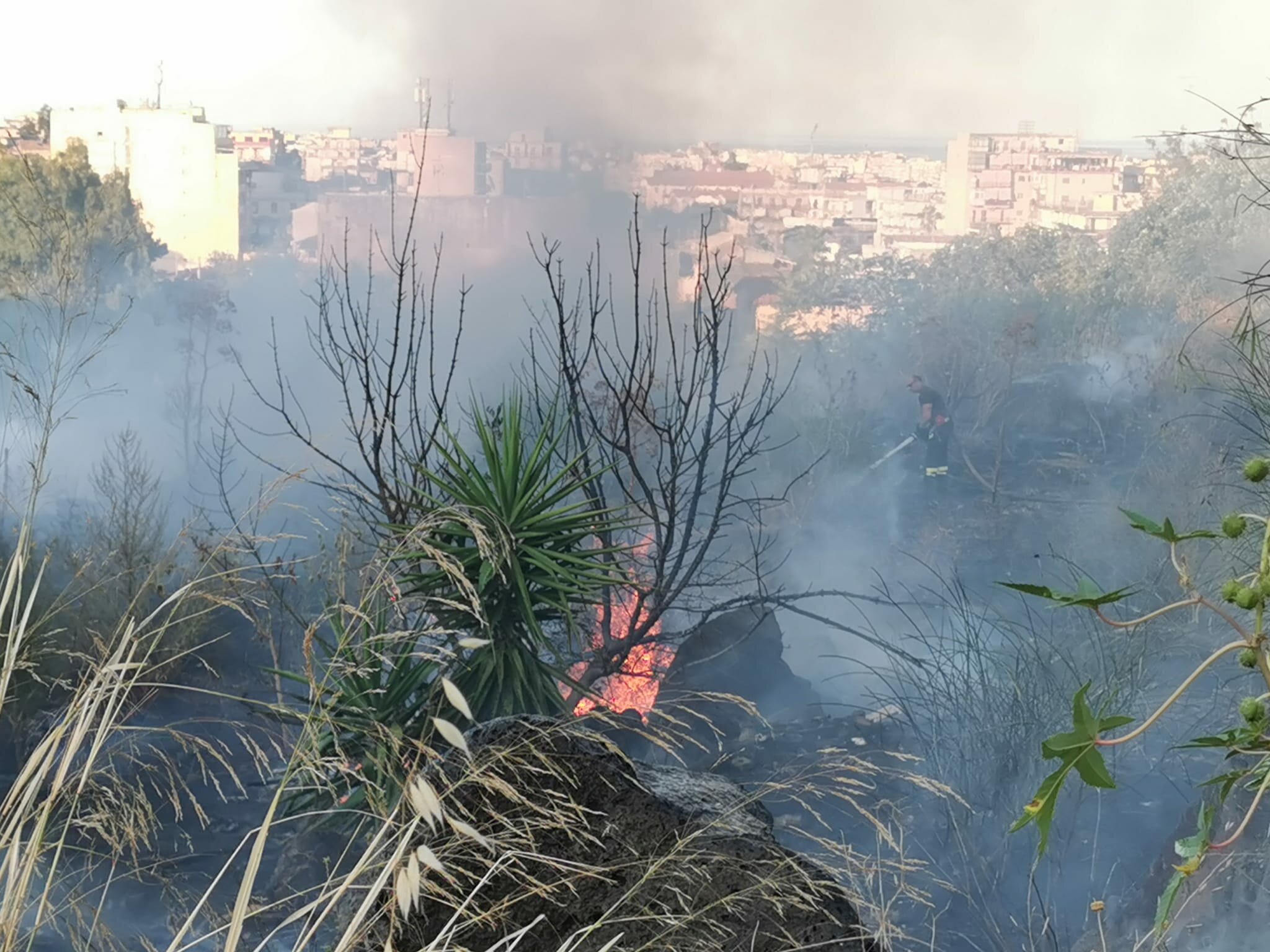 Incendi e piromani: allarme a Catania