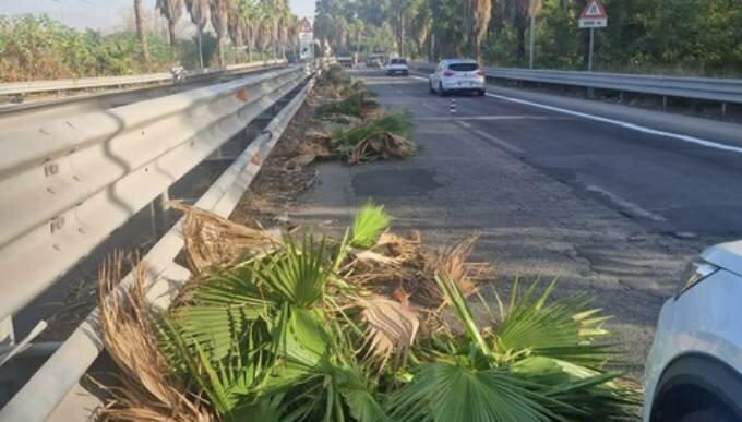 Catania raddrizza l'Asse dei servizi