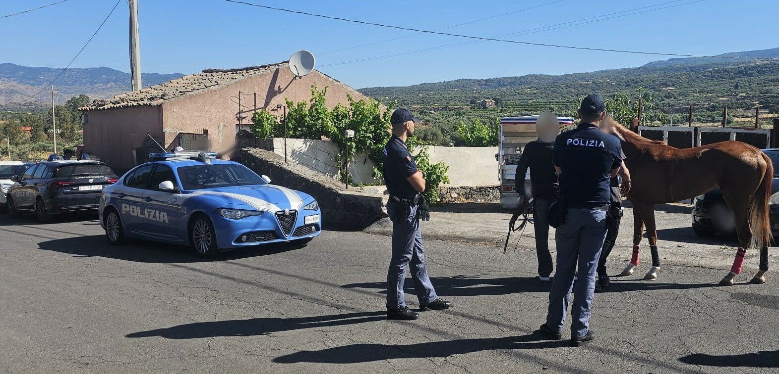 Corse clandestine nel Catanese: sequestrati due cavalli Corse clandestine nel Catanese: sequestrati due cavalli
