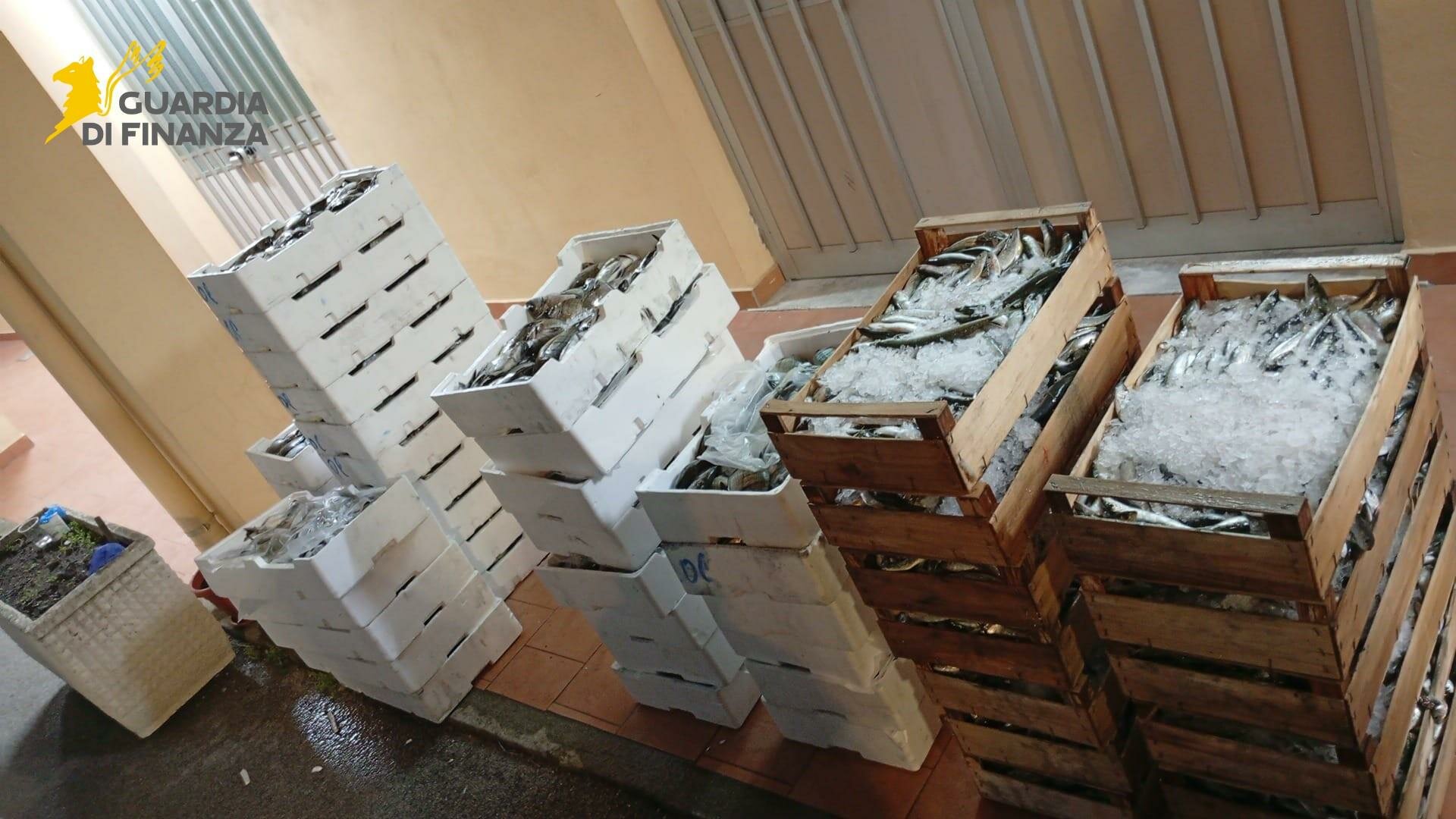 Sequestrati a Messina 540 chili di pesce non tracciato Sequestrati a Messina 540 chili di pesce non tracciato