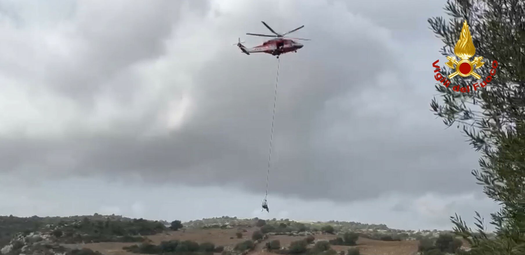 Mucca intrappolata in un burrone, &egrave; salva