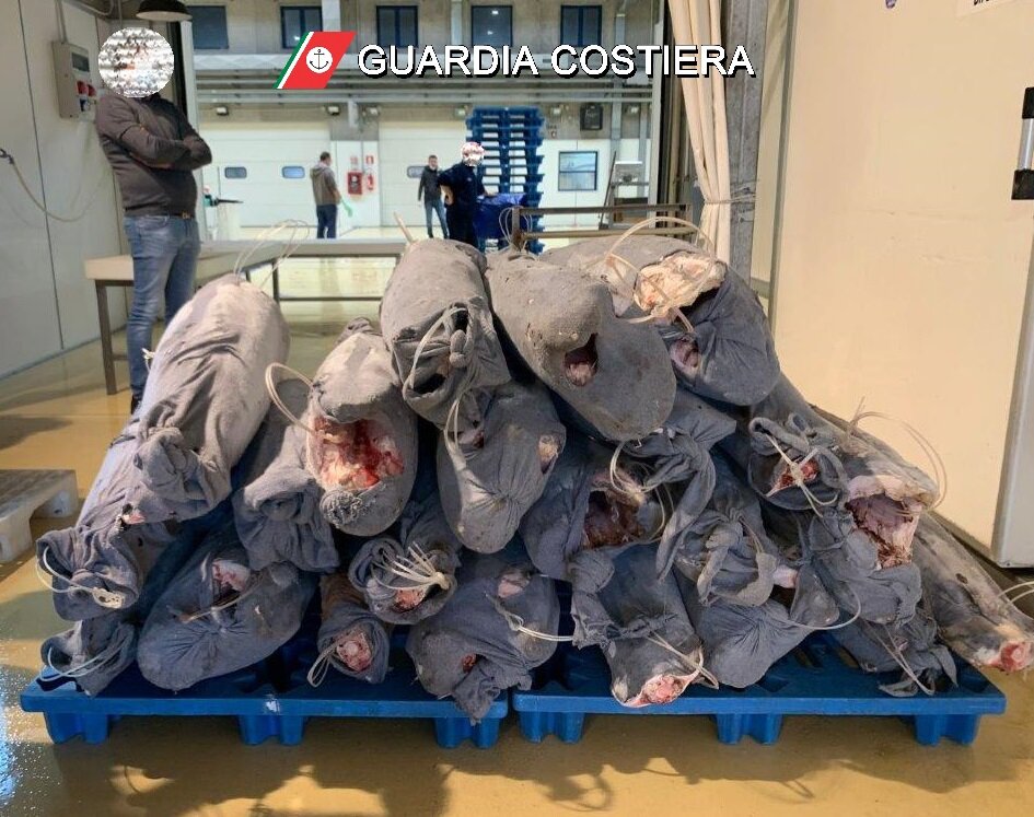 A Catania una tonnellata di pesce spada fuorilegge