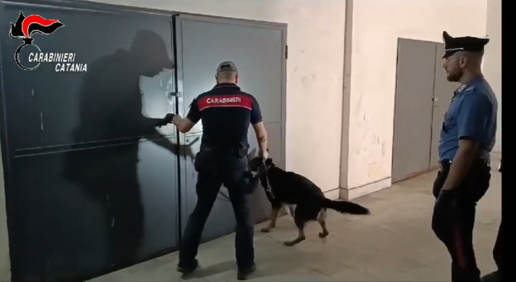 A Picanello la droga in frigo