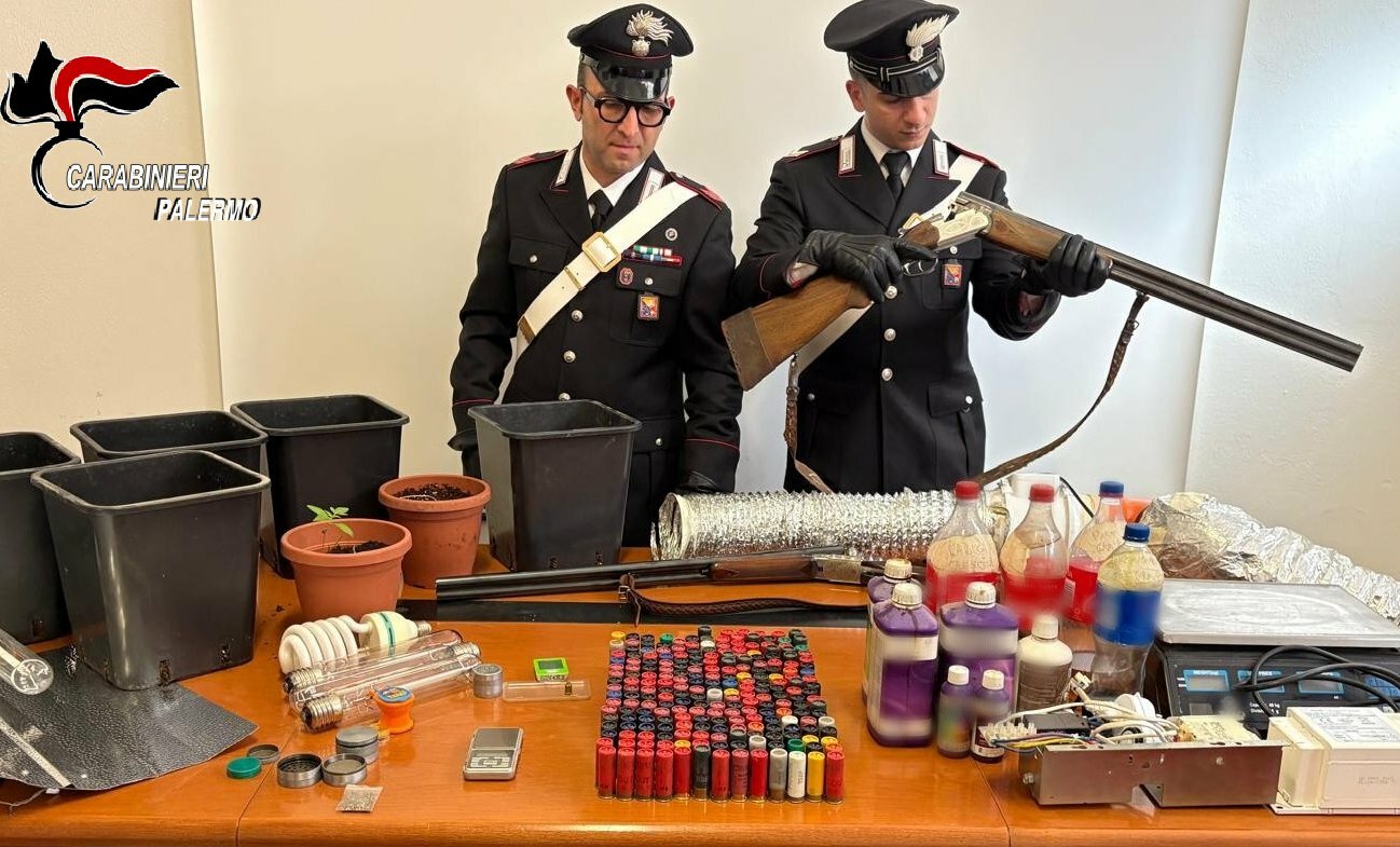 In casa serra di marijuana, fucili e luce gratis