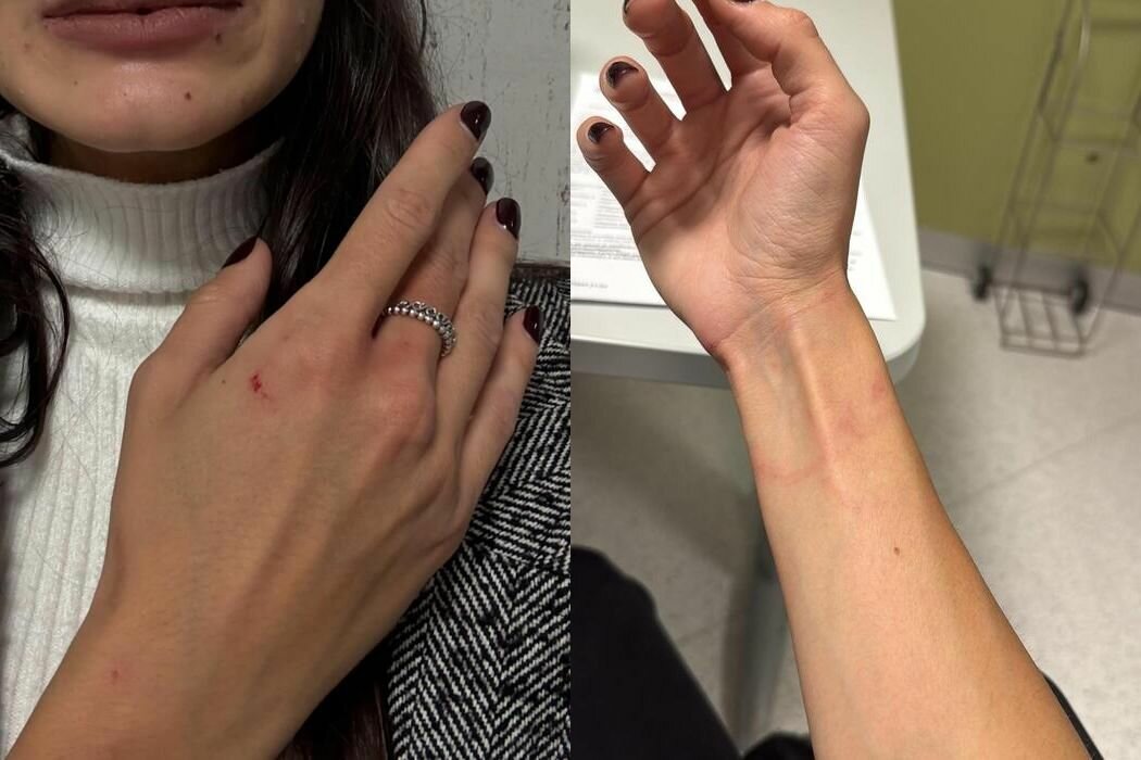 strip-2.jpeg strip-2.jpeg