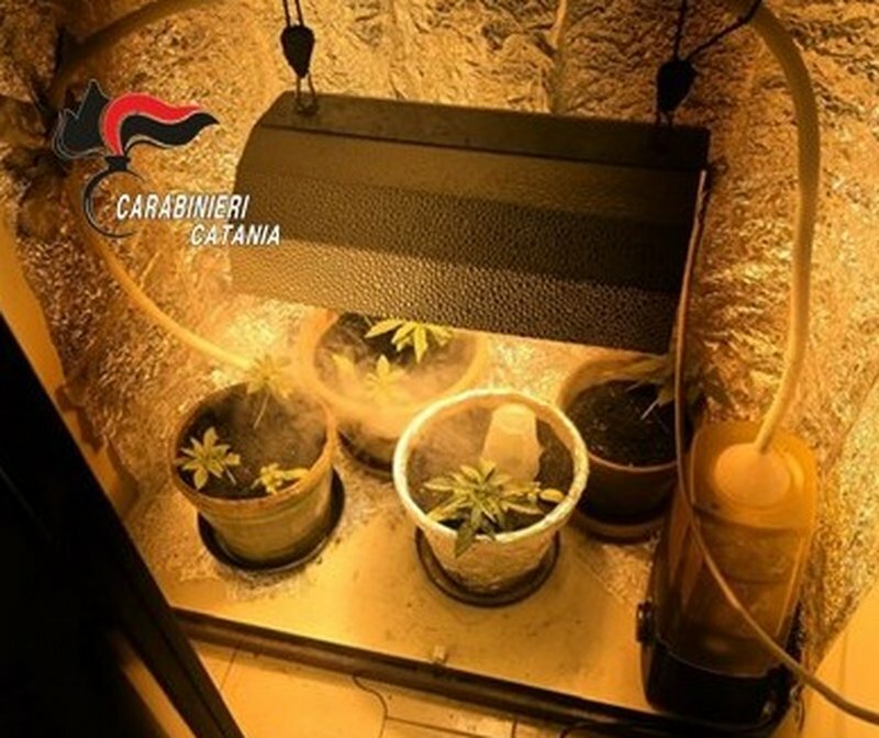 C'&egrave; una lite in famiglia: i carabinieri trovano una serra di droga nell'armadio
