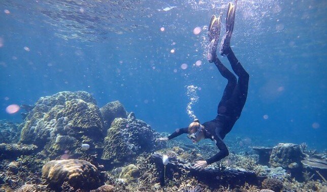 Si immerge e sparisce: ricerche per la turista