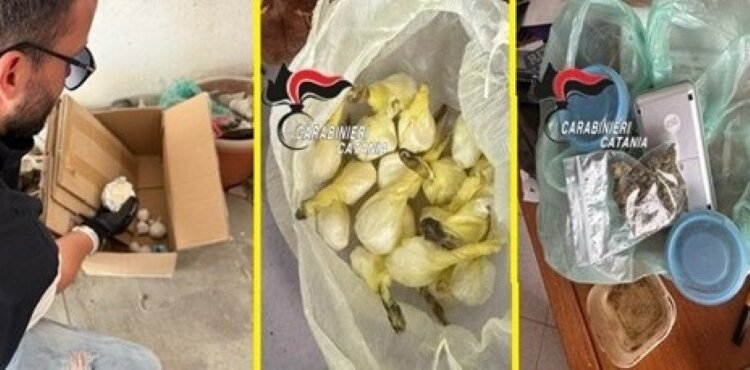Acireale: beccati due giovani tutti 'casa e droga'