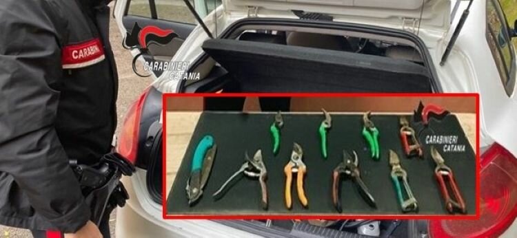 Sforbiciate all'ex genero, denunciato catanese