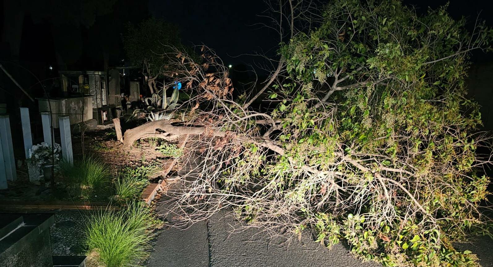 Catania, che vento: voli dirottati e cimiteri chiusi
