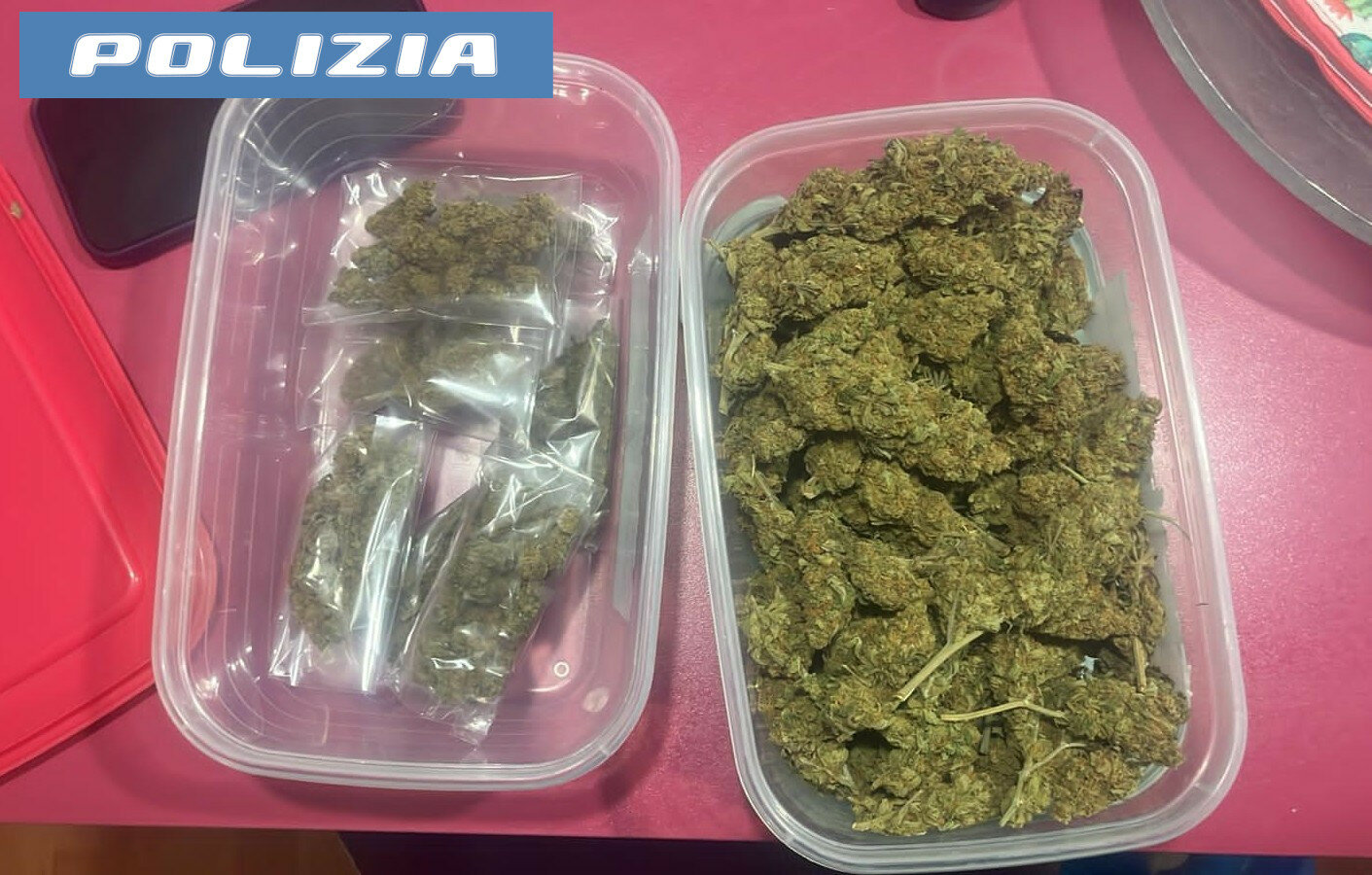 pusher-arrestato-dalla-polizia-di-stato-aveva-154-dosi-di-cocaina-e-quasi-250-grammi-di-marijuana.jpeg pusher-arrestato-dalla-polizia-di-stato-aveva-154-dosi-di-cocaina-e-quasi-250-grammi-di-marijuana.jpeg