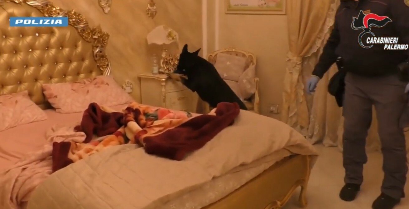 Il pizzo, l'agguato e i furgoni a fuoco: ma l'imprenditore non cede e denuncia