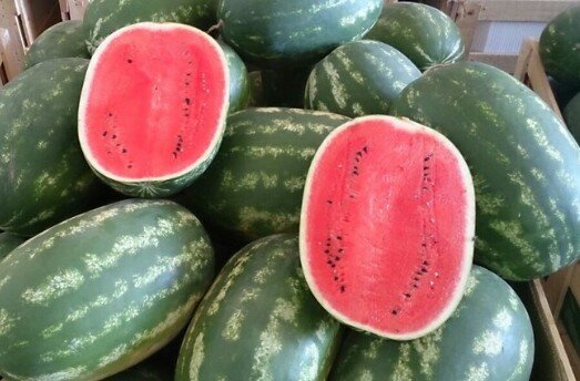 Ferito a fucilate il catanese che rubava angurie