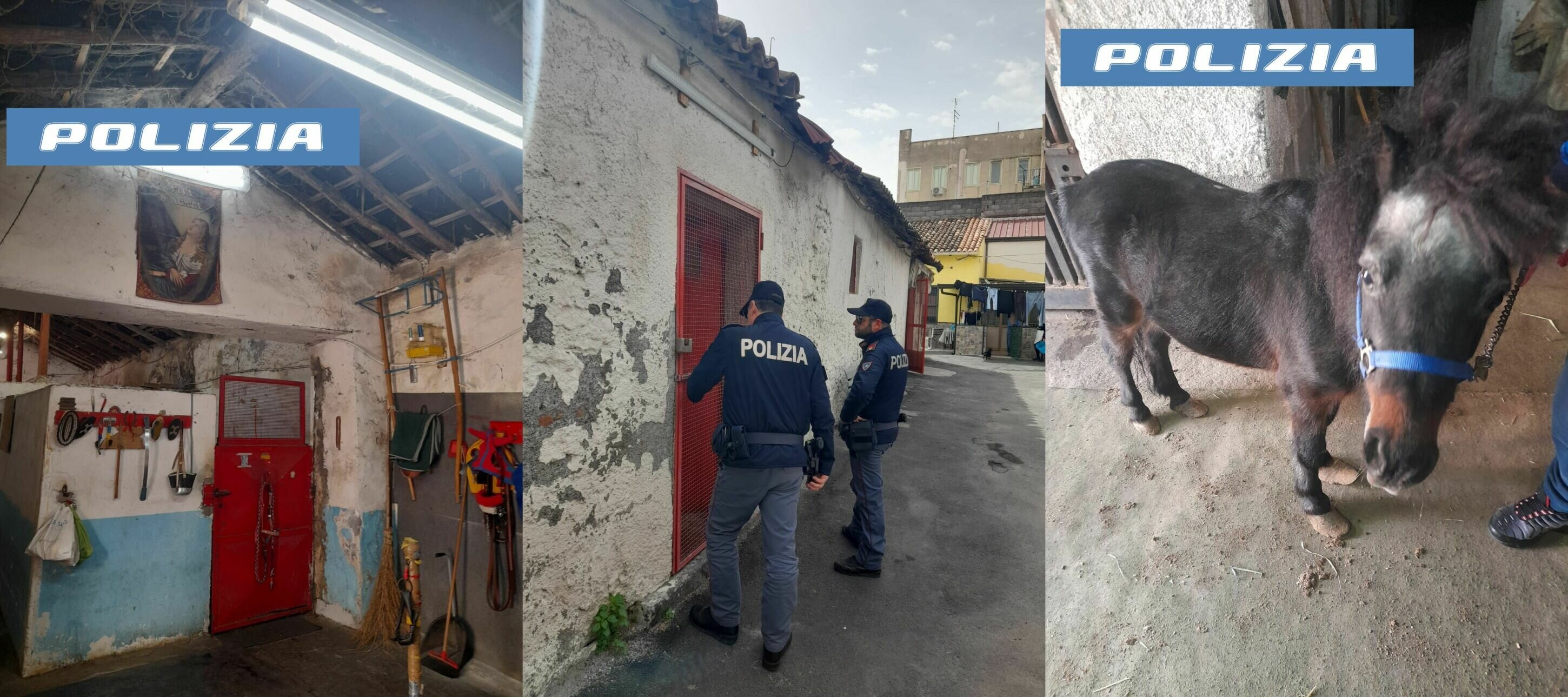 San Cristoforo, scovate altre stalle abusive