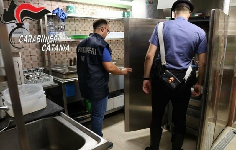 Nel locale della pescheria la cucina invasa dalle blatte