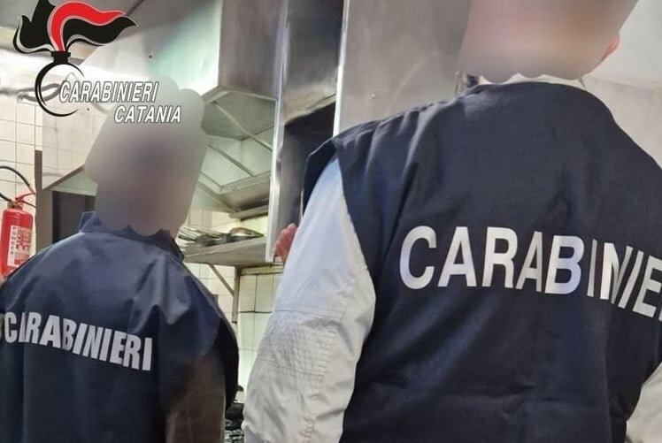 Blatte morte e topi: orrore nel ristorante catanese
