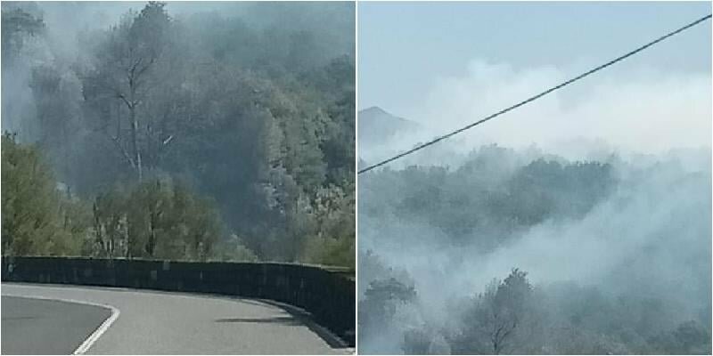 Fiamme nel Parco dell'Etna