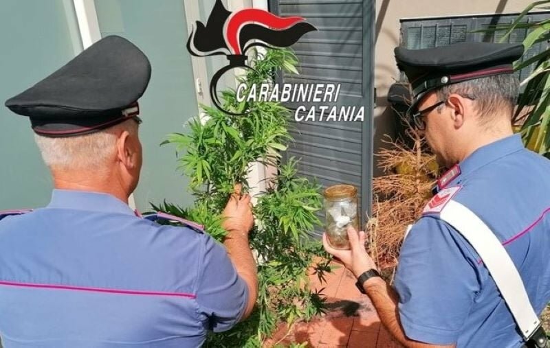 Coltivano droga sul terrazzo, 2 denunce