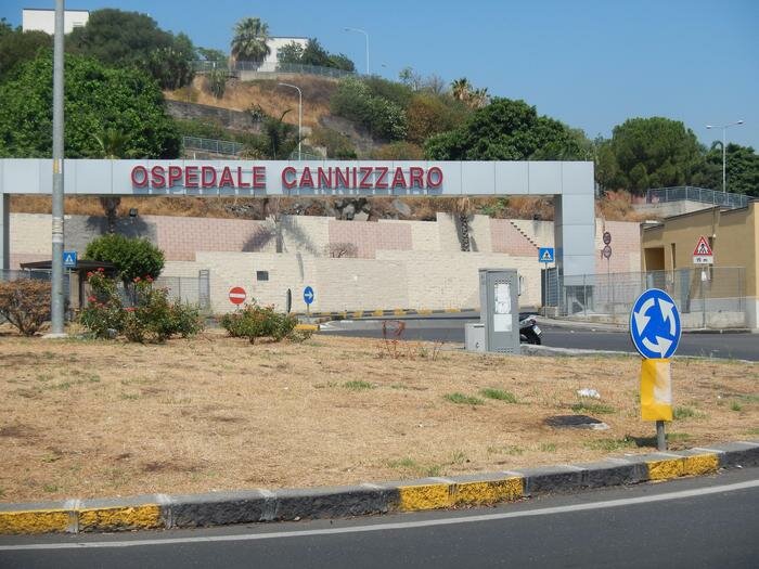 cannizzaro.jpeg