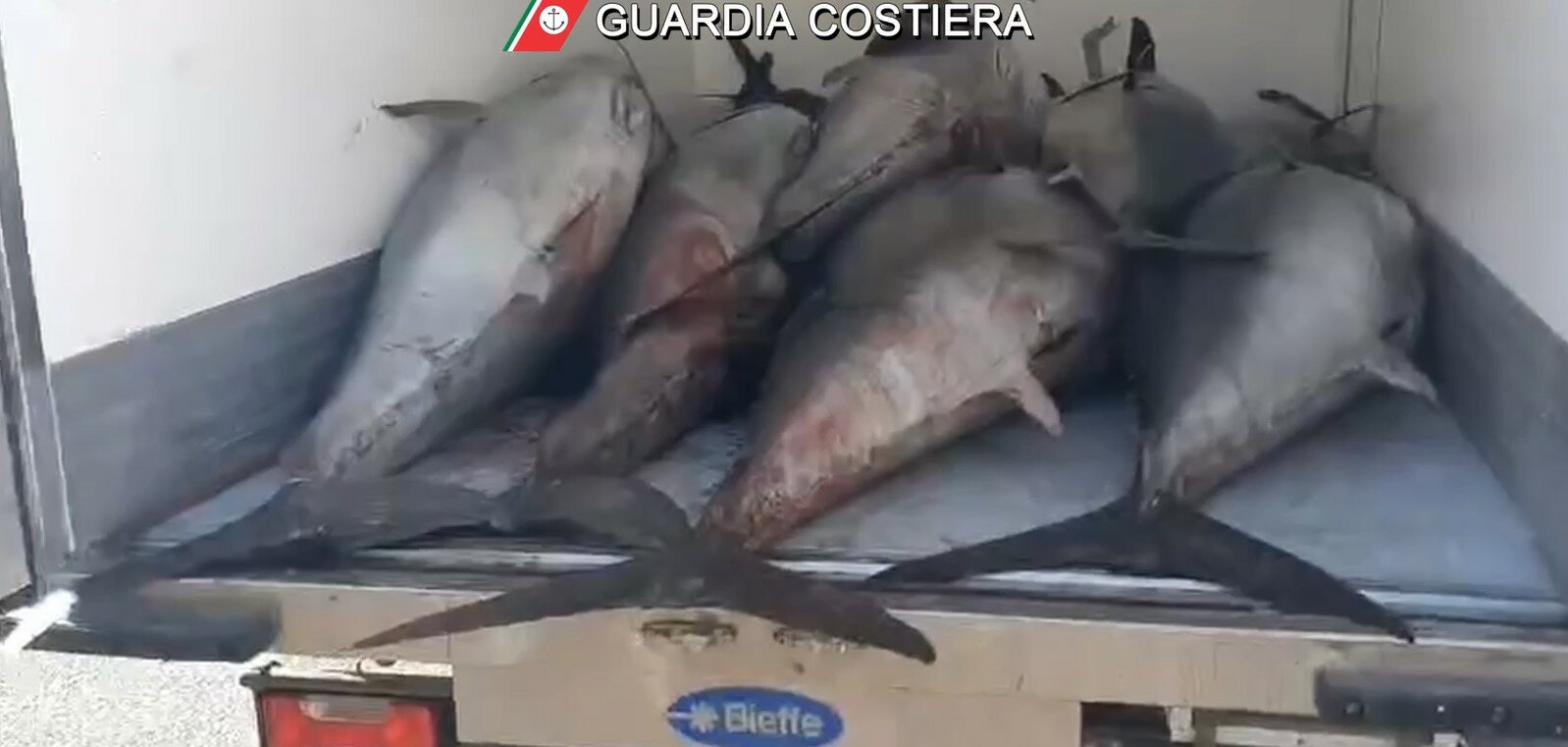 Maxi sequestro di tonno tra Catania e Siracusa