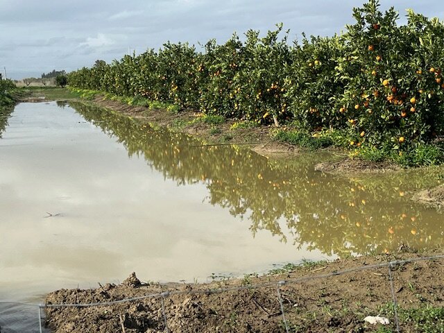 image7.jpeg image7.jpeg