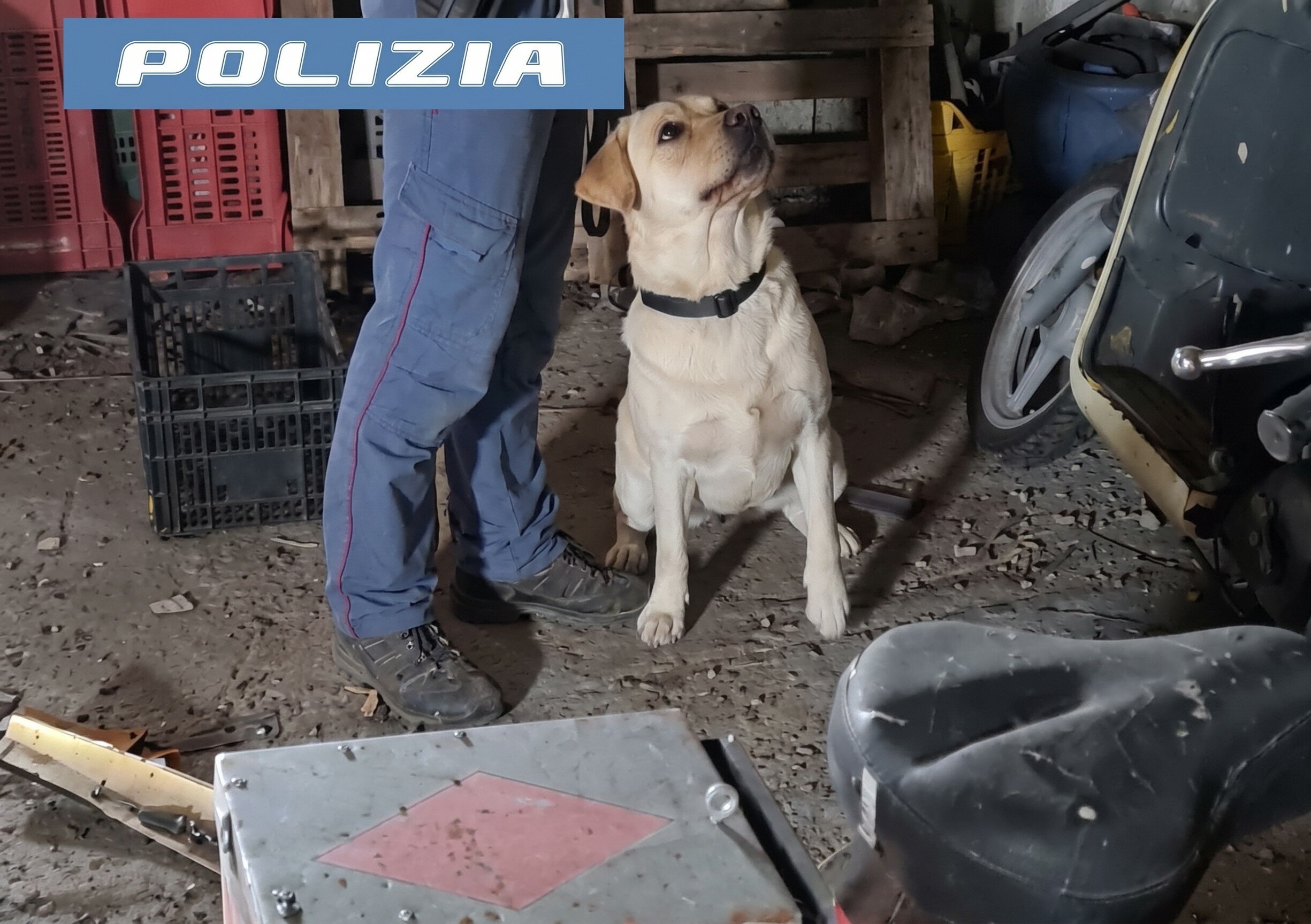 Crack e marijuana nel casale: arrestato catanese