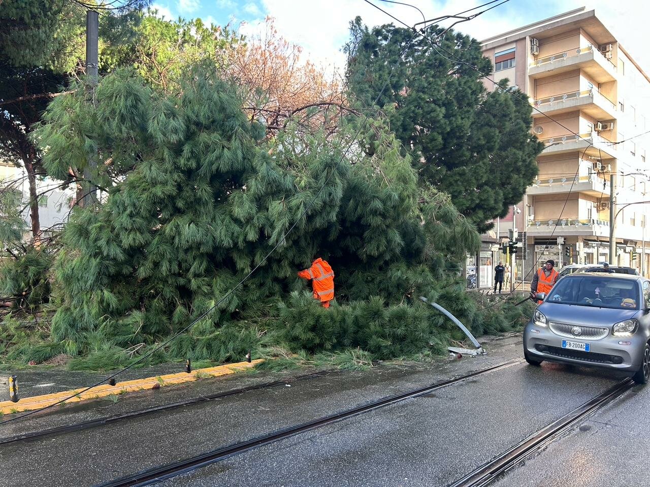 img-20260213-wa0008.jpeg img-20260213-wa0008.jpeg