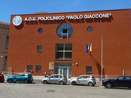 Travolta da un tir mentre attraversa: muore dopo due mesi di agonia Travolta da un tir mentre attraversa: muore dopo due mesi di agonia