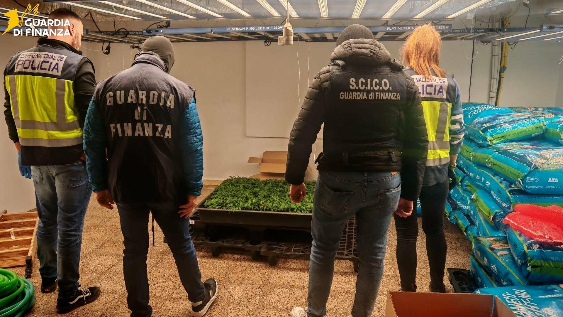 Traffico di droga dalla Spagna alla Sicilia, il capo era un catanese Traffico di droga dalla Spagna alla Sicilia, il capo era un catanese