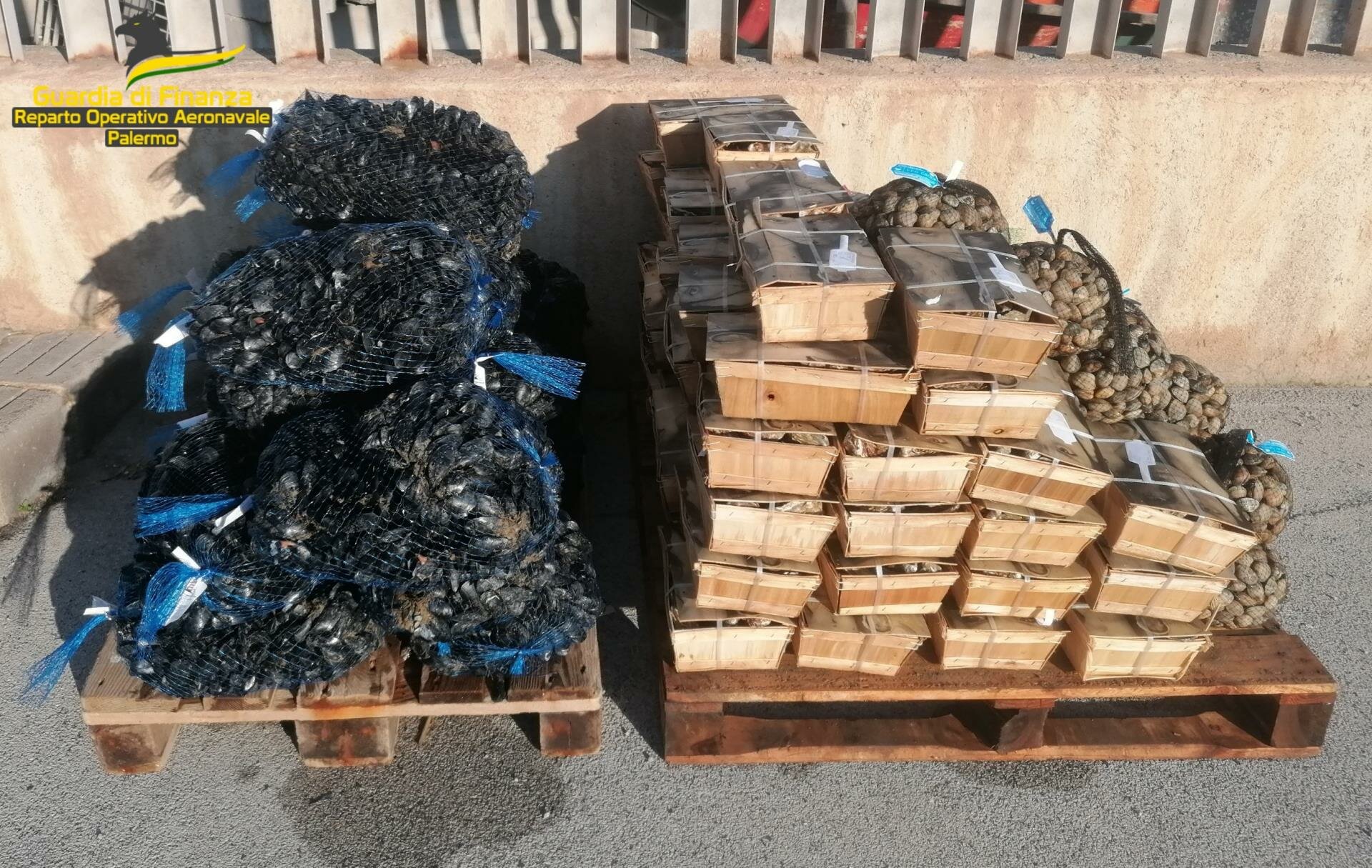 Arrivano in Sicilia ostriche e cozze non commestibili