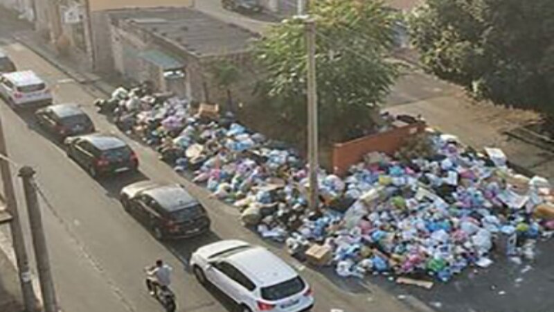 Rifiuti sulla strada e topi in via Novelli a Catania