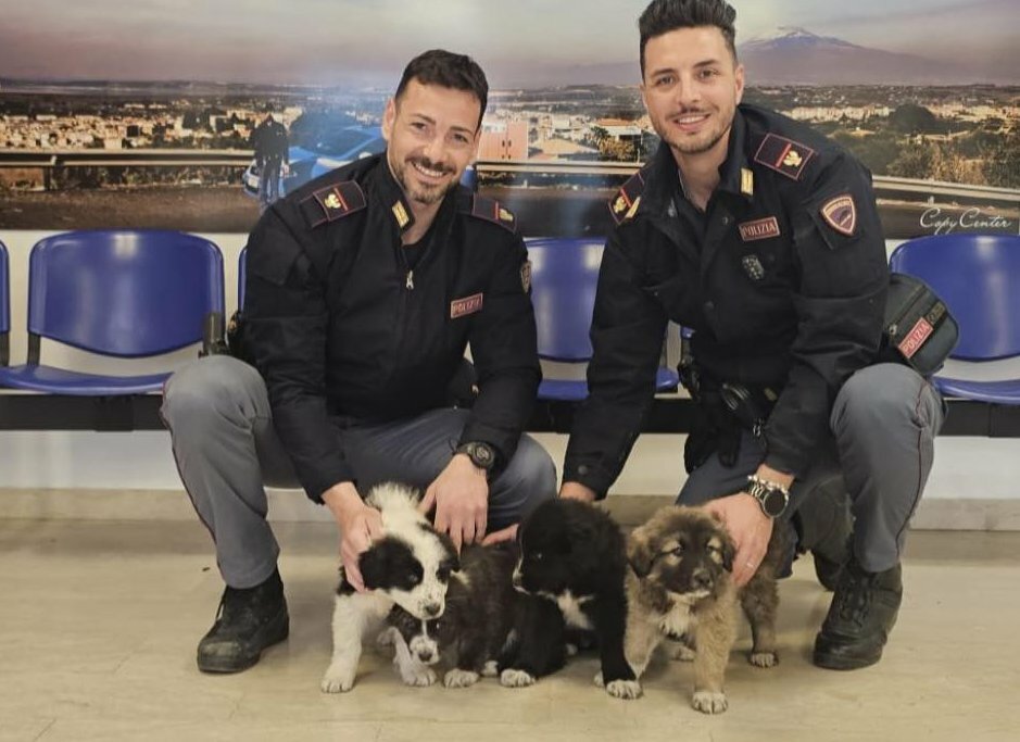 Cuccioli abbandonati in strada: salvati e adottati Cuccioli abbandonati in strada: salvati e adottati