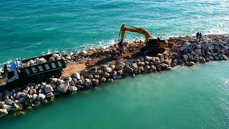 Spiaggia morente, qualcosa si muove