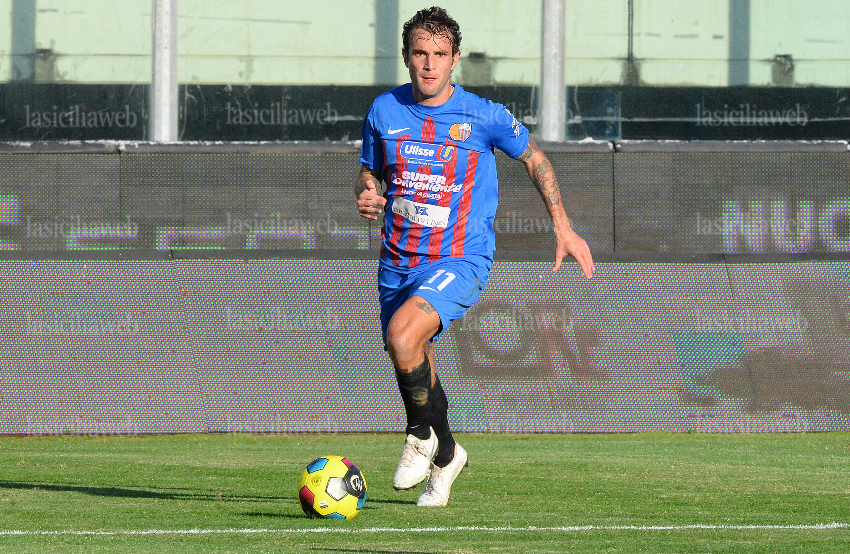 ceccarellli-ct-copia.jpg ceccarellli-ct-copia.jpg