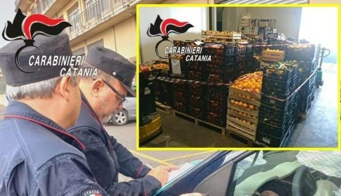 Catania, sequestrate 8 tonnellate di agrumi