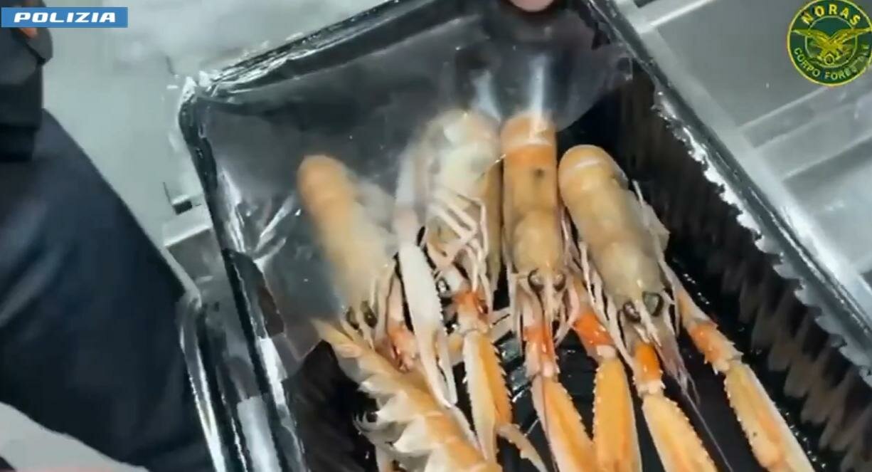 Alimenti scaduti e non tracciati: multe per 10 mila euro
