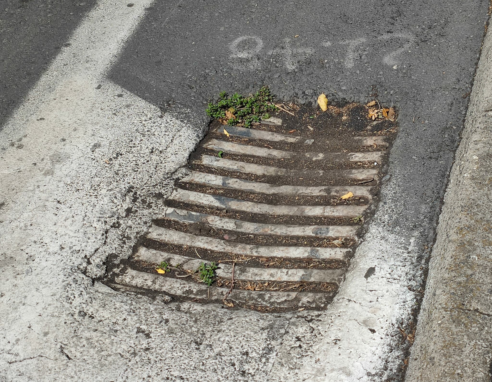 Tombini otturati: "Catania rischia allagamenti"