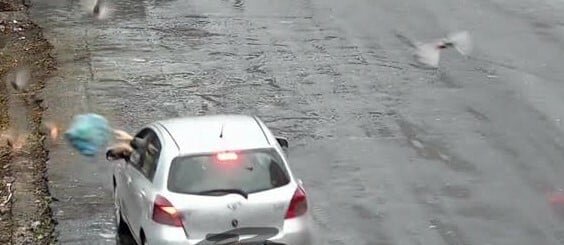 A Catania 16 nuovi vigili contro i rifiuti selvaggi