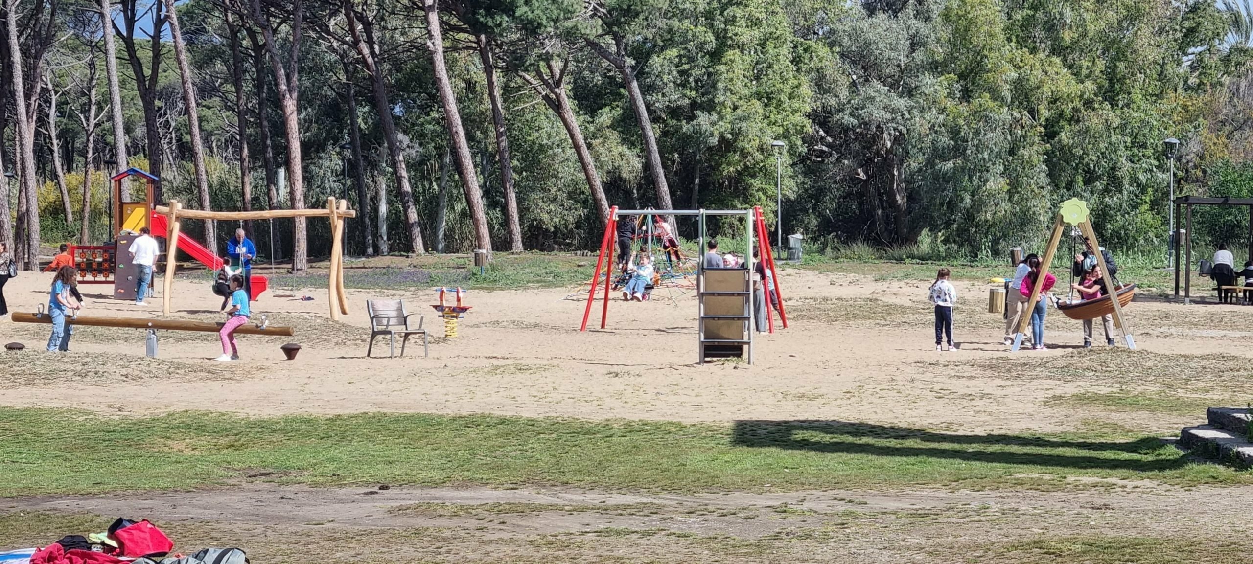 Rinasce il boschetto della Plaia