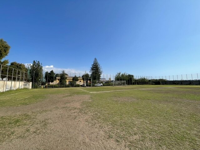 Rigenerazione green per il campo di Zia Lisa