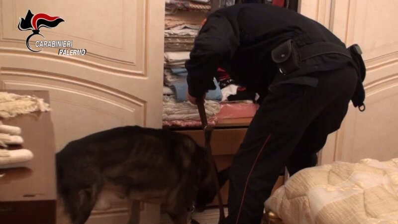 Blitz antidroga nel Palermitano: 17 arresti