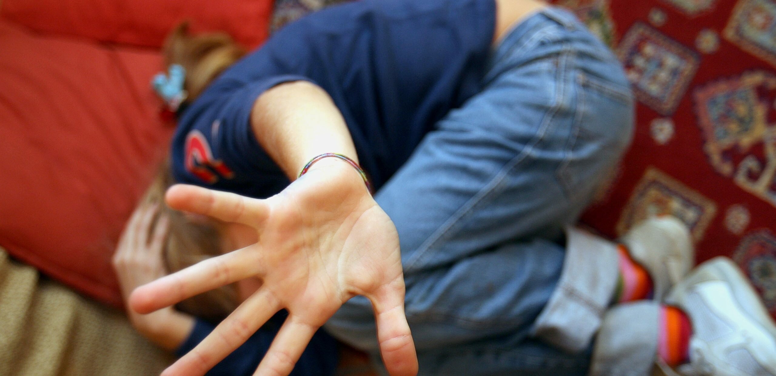 Foto e video pedopornografici in casa del babysitter Foto e video pedopornografici in casa del babysitter