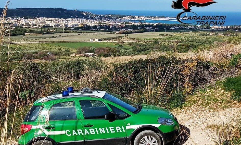 Oltre 20 mila mq di bosco deturpati dai rifiuti Oltre 20 mila mq di bosco deturpati dai rifiuti