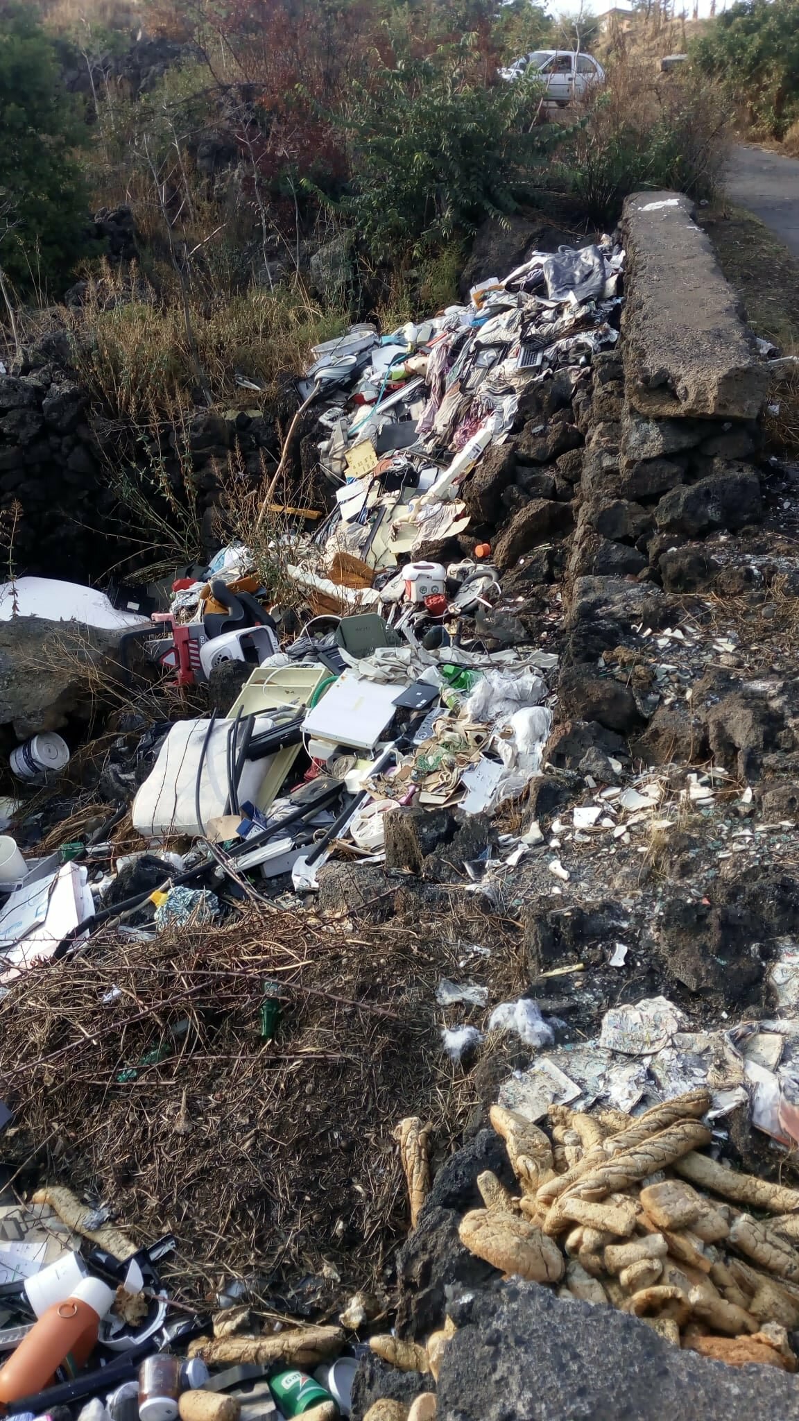 003-11.jpg 003-11.jpg