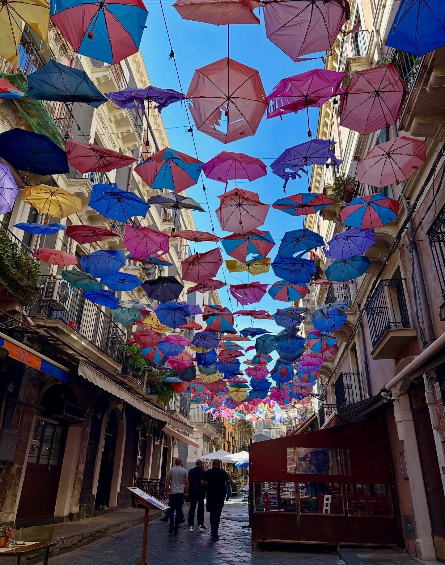 img_8815.jpeg img_8815.jpeg